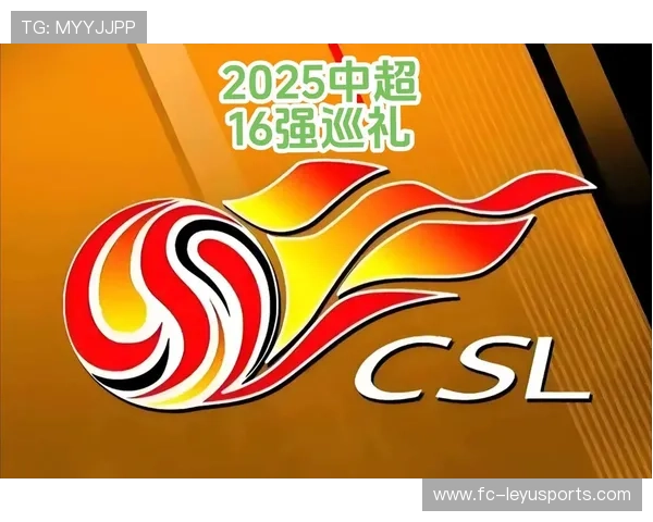 中超联赛数据分析，揭示球队表现，中超联赛参赛队伍